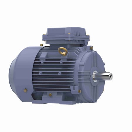 Marathon Motor 3.0 Kw General Purpose Low Voltage Iec  Motor, 3 Phase, 1800 Rpm, 575 V, 100L R452B